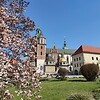 Wikarówka oraz Krypty Królewskie na Wawelu